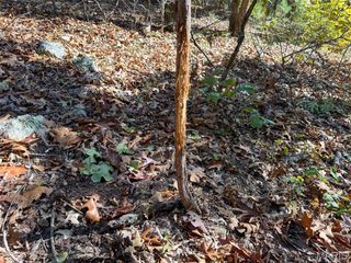 0 Delpark Road, Potosi, MO 63664