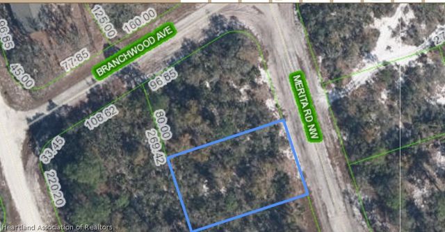 340 MERITA Road, Lake Placid, FL 33852