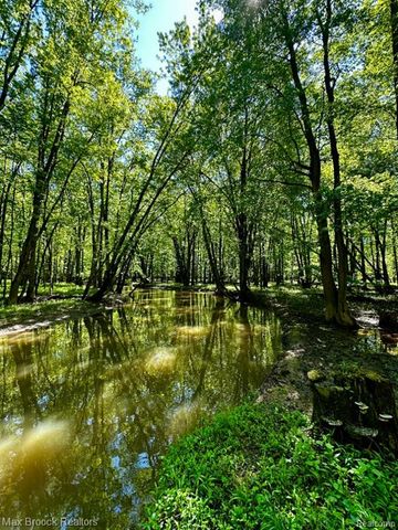 892 W Barnes Lake Road, Columbiaville, MI 48421
