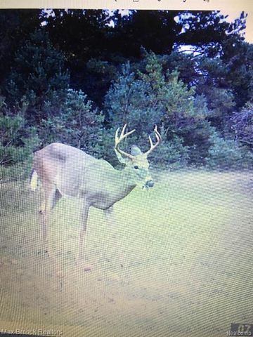 892 W Barnes Lake Road, Columbiaville, MI 48421