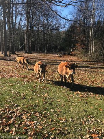892 W Barnes Lake Road, Columbiaville, MI 48421