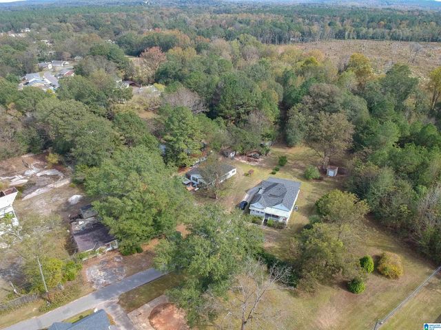 54 HILL DRIVE, Brent, AL 35034