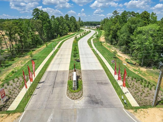 10747 Sora Drive, Willis, TX 77378