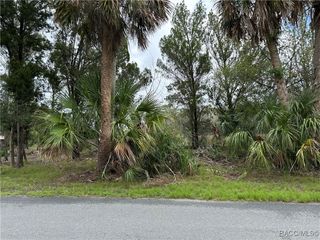 12345 W Standish Drive, Homosassa, FL 34448