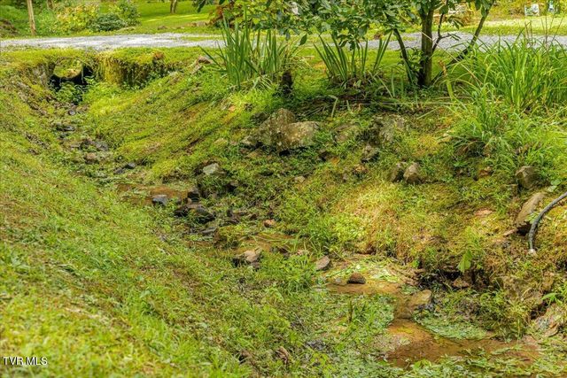 415 Stone Mtn Road, Bulls Gap, TN 37711