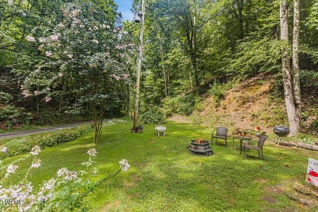415 Stone Mtn Road, Bulls Gap, TN 37711