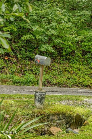 415 Stone Mtn Road, Bulls Gap, TN 37711