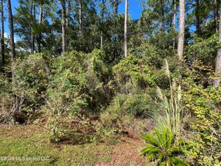 Pinewood Drive, Pass Christian, MS 39571