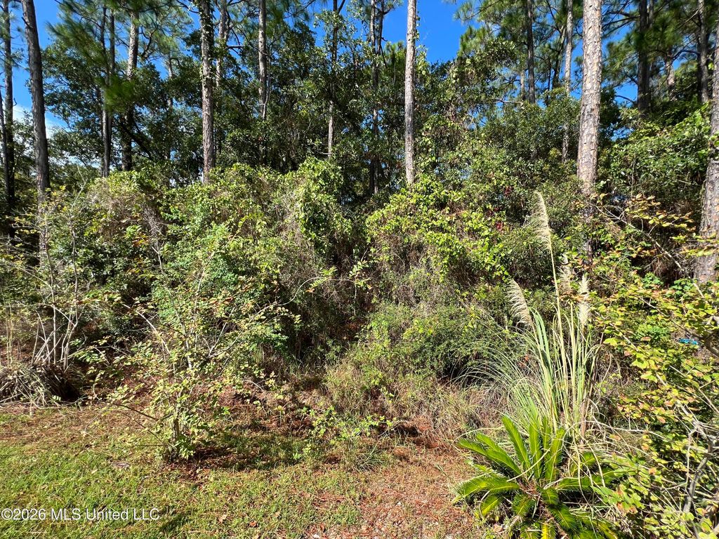 Pinewood Drive, Pass Christian, MS 39571
