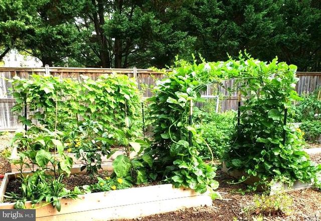 20305 MALLET HILL CT, Germantown, MD 20876