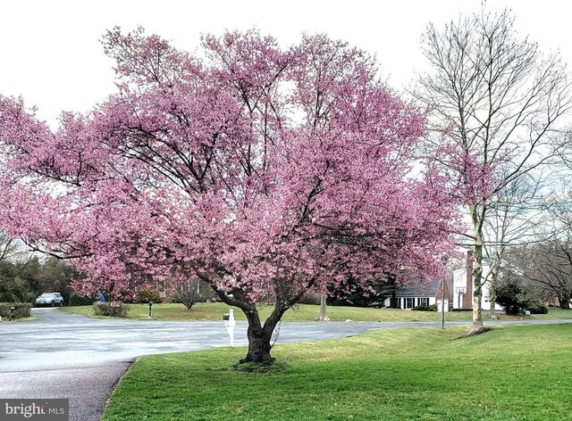 20305 MALLET HILL CT, Germantown, MD 20876