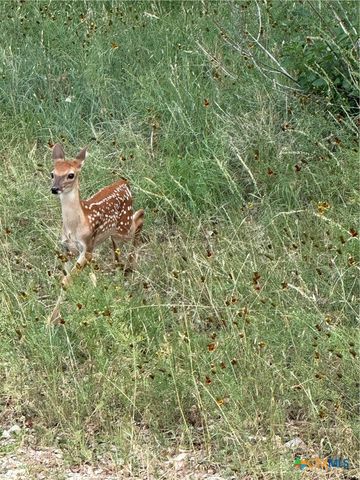 1155 Southline Drive, Spring Branch, TX 78070