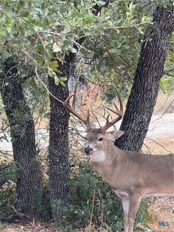 1155 Southline Drive, Spring Branch, TX 78070