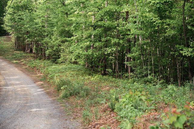 Tract 1 Century Lane, Blue Ridge, GA 30513
