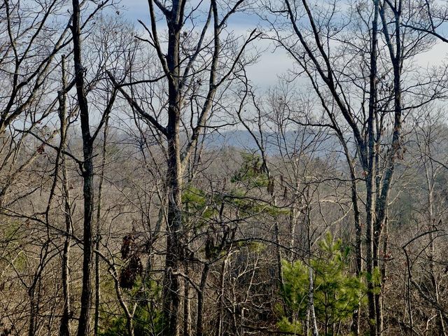 Tract 1 Century Lane, Blue Ridge, GA 30513