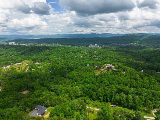 Tract 1 Century Lane, Blue Ridge, GA 30513