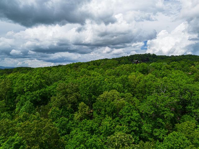 Tract 1 Century Lane, Blue Ridge, GA 30513