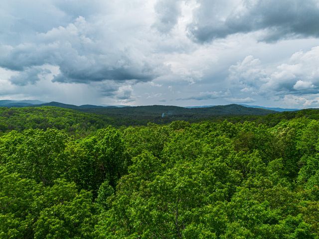 Tract 1 Century Lane, Blue Ridge, GA 30513