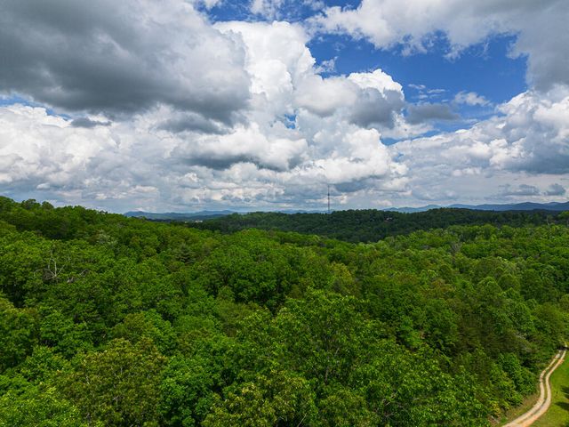 Tract 1 Century Lane, Blue Ridge, GA 30513