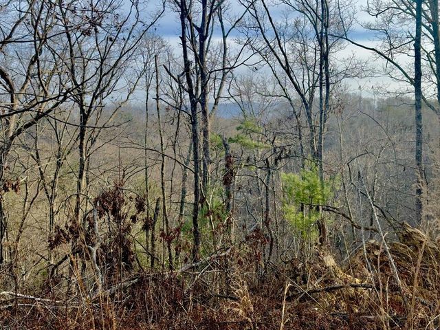 Tract 1 Century Lane, Blue Ridge, GA 30513