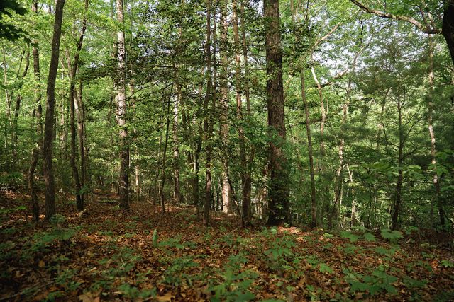 Tract 1 Century Lane, Blue Ridge, GA 30513