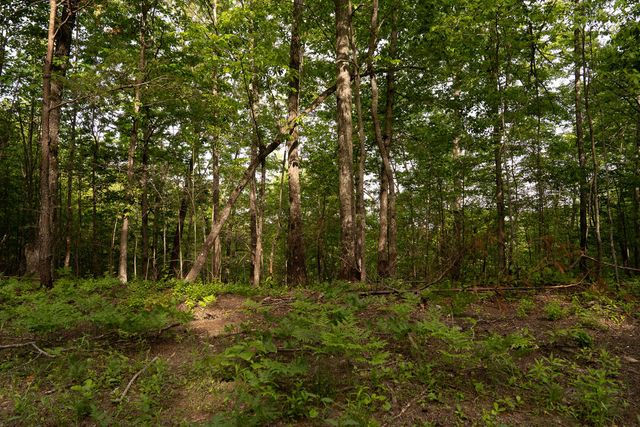 Tract 1 Century Lane, Blue Ridge, GA 30513