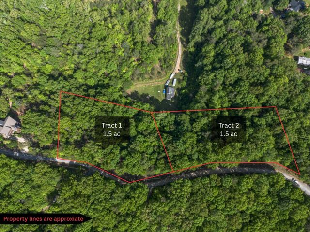Tract 1 Century Lane, Blue Ridge, GA 30513