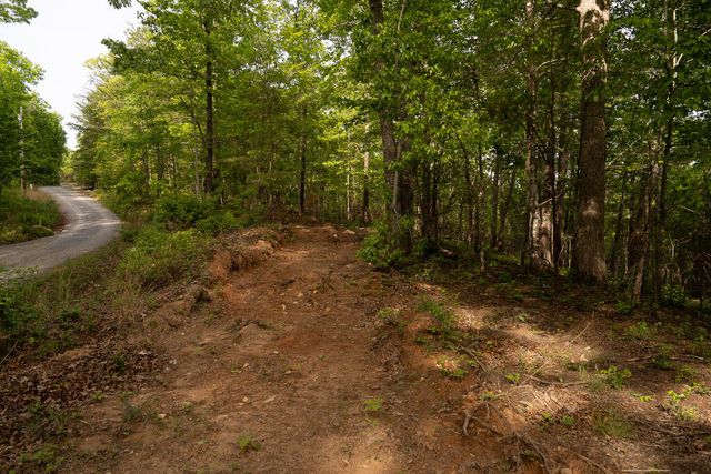Tract 1 Century Lane, Blue Ridge, GA 30513