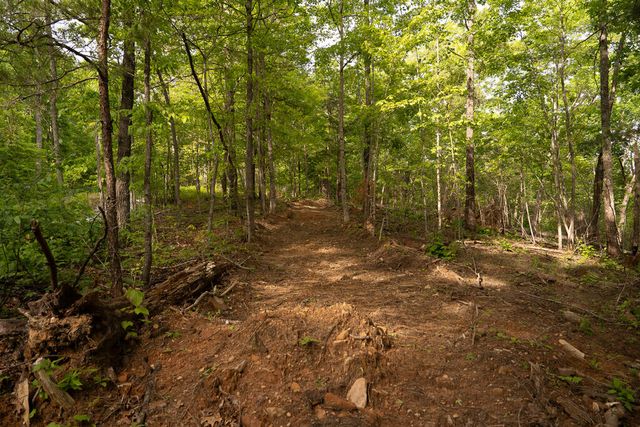 Tract 1 Century Lane, Blue Ridge, GA 30513