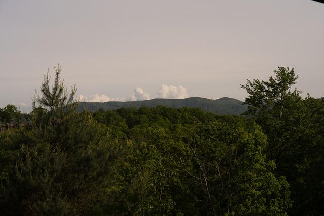Tract 1 Century Lane, Blue Ridge, GA 30513