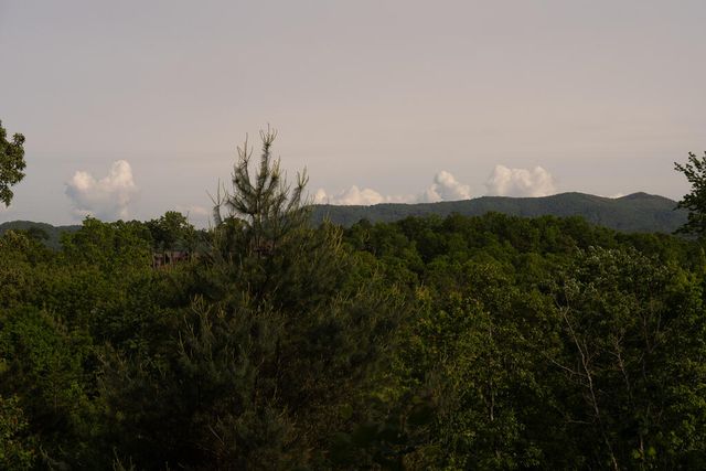 Tract 1 Century Lane, Blue Ridge, GA 30513