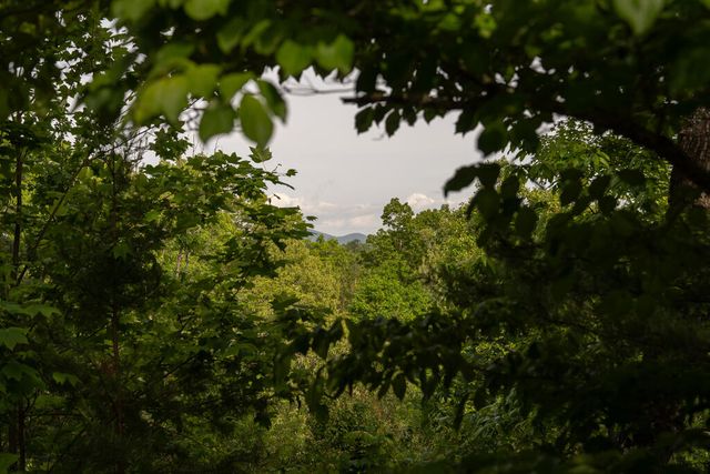 Tract 1 Century Lane, Blue Ridge, GA 30513