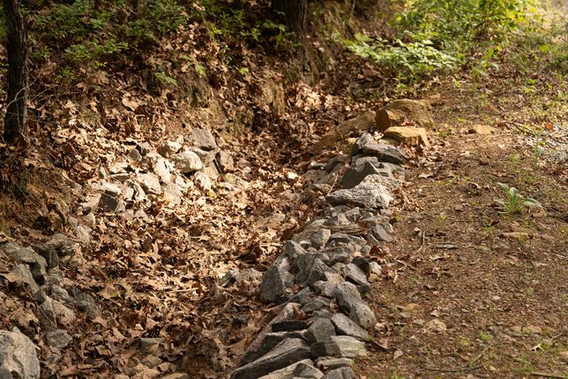 Tract 1 Century Lane, Blue Ridge, GA 30513