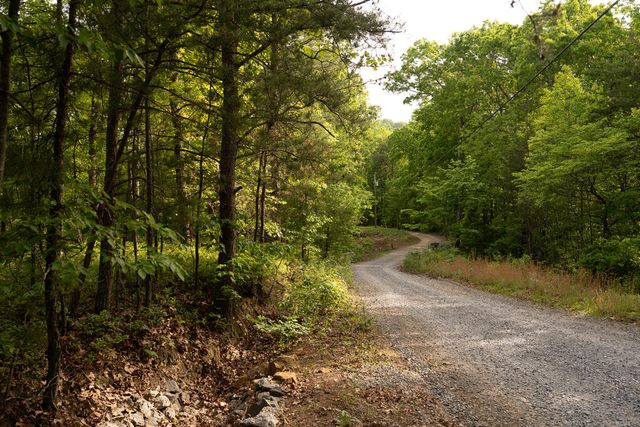 Tract 1 Century Lane, Blue Ridge, GA 30513
