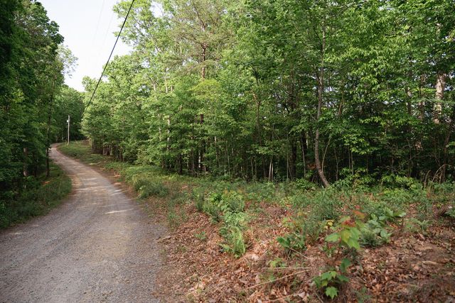 Tract 1 Century Lane, Blue Ridge, GA 30513