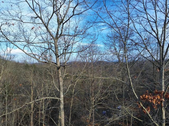 Tract 1 Century Lane, Blue Ridge, GA 30513