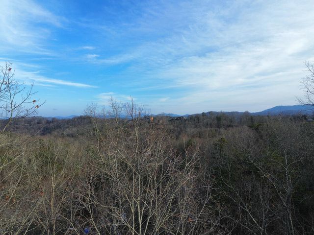 Tract 1 Century Lane, Blue Ridge, GA 30513