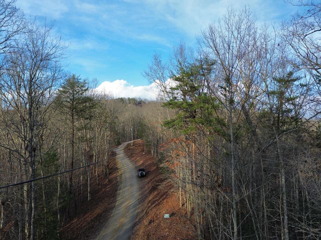 Tract 1 Century Lane, Blue Ridge, GA 30513