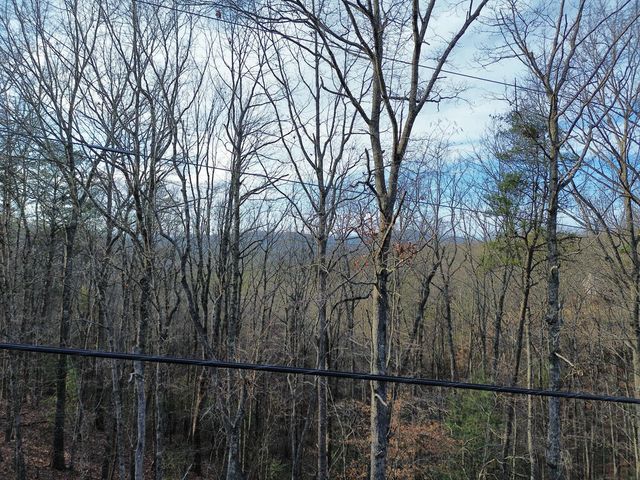 Tract 1 Century Lane, Blue Ridge, GA 30513