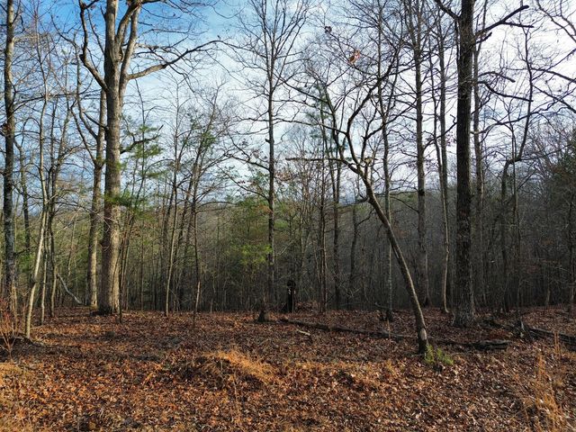 Tract 1 Century Lane, Blue Ridge, GA 30513