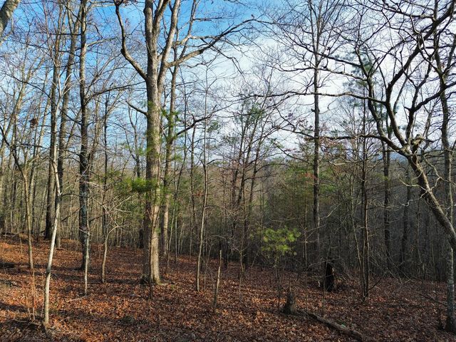 Tract 1 Century Lane, Blue Ridge, GA 30513