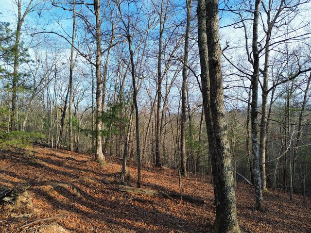Tract 1 Century Lane, Blue Ridge, GA 30513