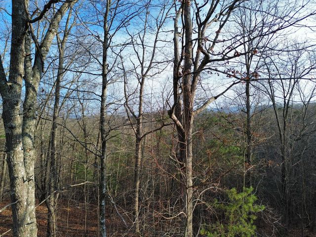 Tract 1 Century Lane, Blue Ridge, GA 30513