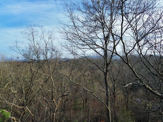 Tract 1 Century Lane, Blue Ridge, GA 30513