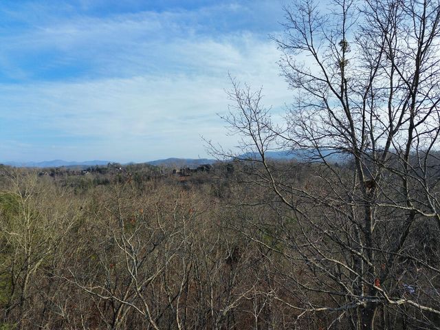 Tract 1 Century Lane, Blue Ridge, GA 30513