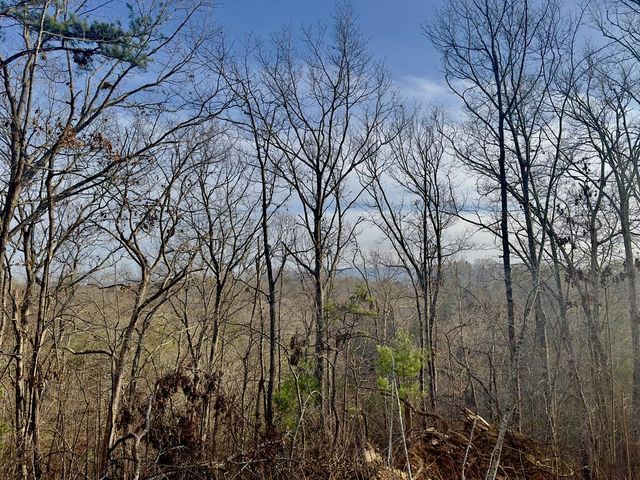 Tract 1 Century Lane, Blue Ridge, GA 30513
