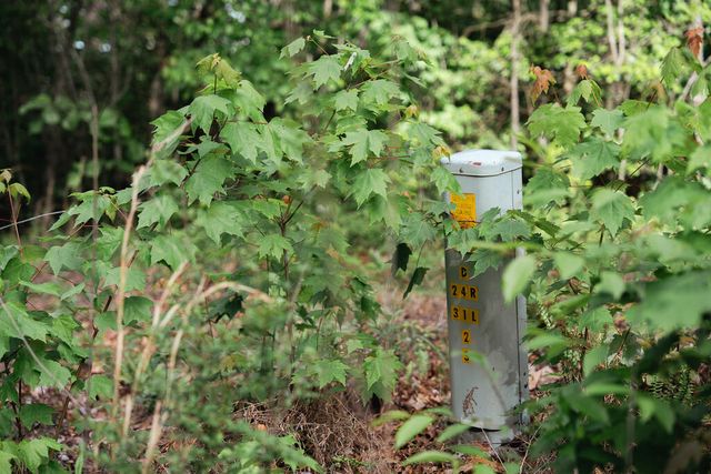 Tract 1 Century Lane, Blue Ridge, GA 30513