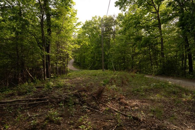 Tract 1 Century Lane, Blue Ridge, GA 30513