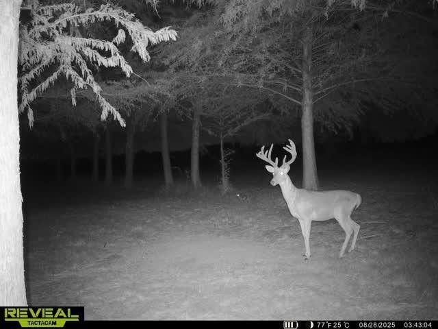 803-2 Westshore Drive, St Paul, TX 75098