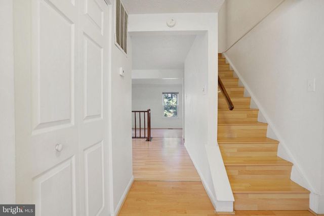 6515 FIELD MASTER DR, Springfield, VA 22152